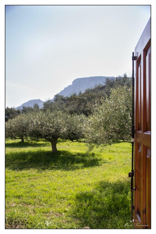Liodentro House Villa Karpathos Exterior foto